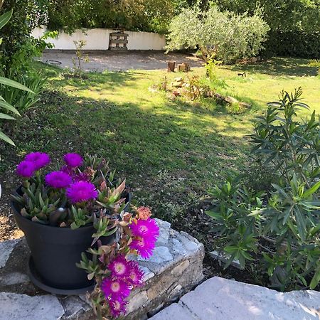 Villa Quinissole Sainte-Anastasie-sur-Issole ภายนอก รูปภาพ